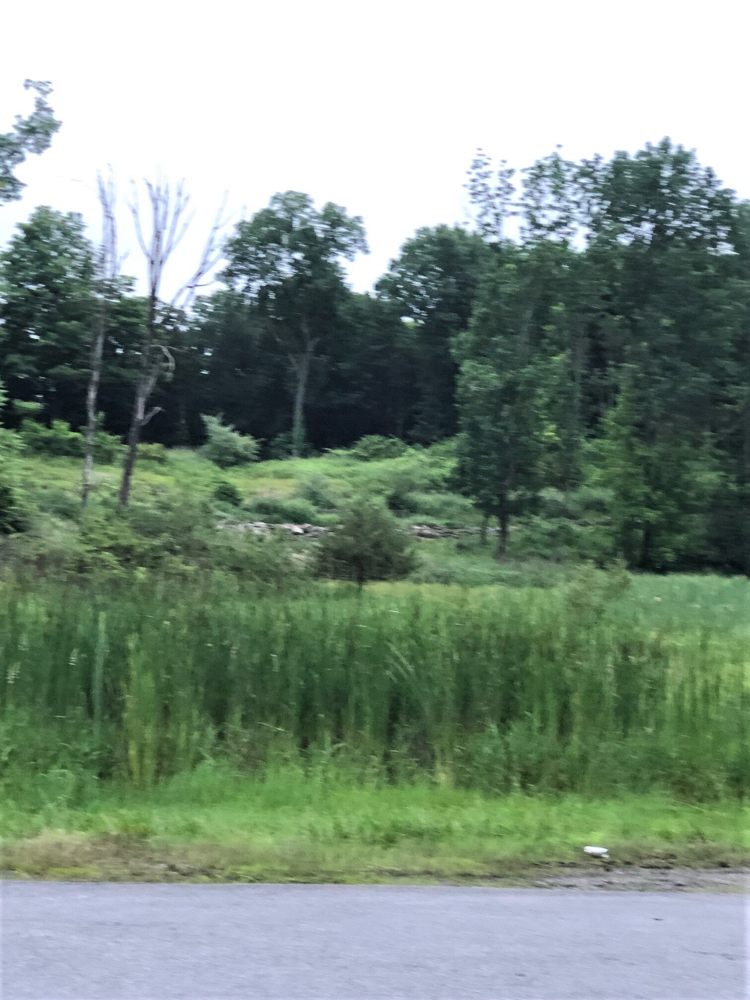 4 Bayberry Ln, Hardyston, NJ for sale Construction Photo- Image 1 of 1