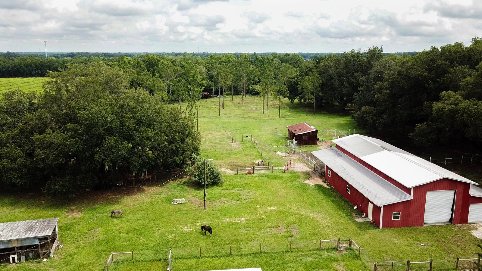 13566 Haynes, Dover, FL 33527