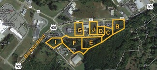 More details for 1173 US 401 Hwy, Louisburg, NC - Land for Sale