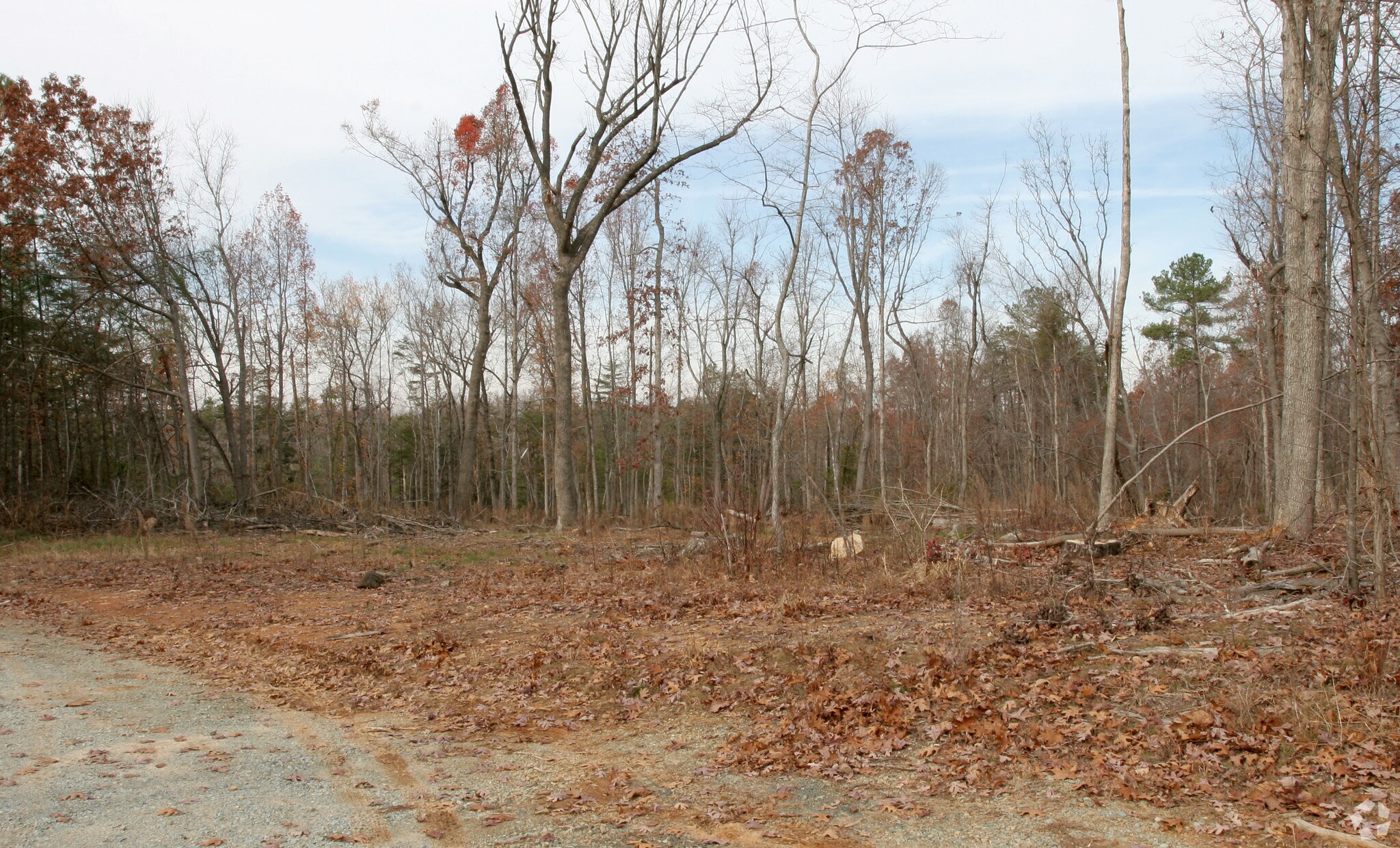 6901 Russell Rd, Durham, NC for sale Primary Photo- Image 1 of 1