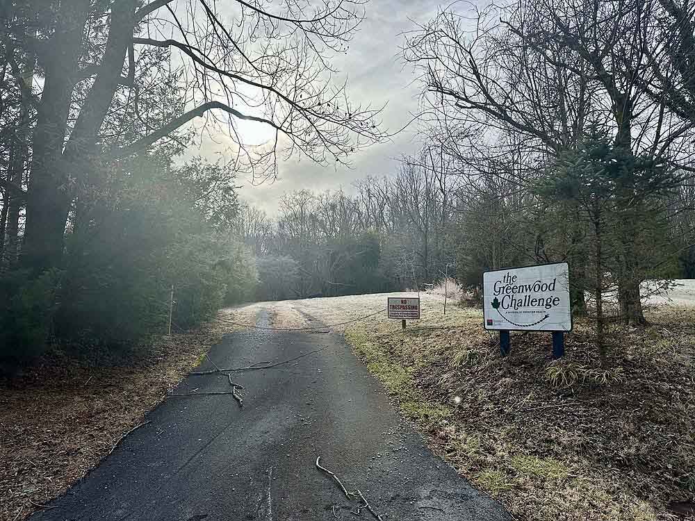 2915 S Greenwood Dr, Johnson City, TN 37604