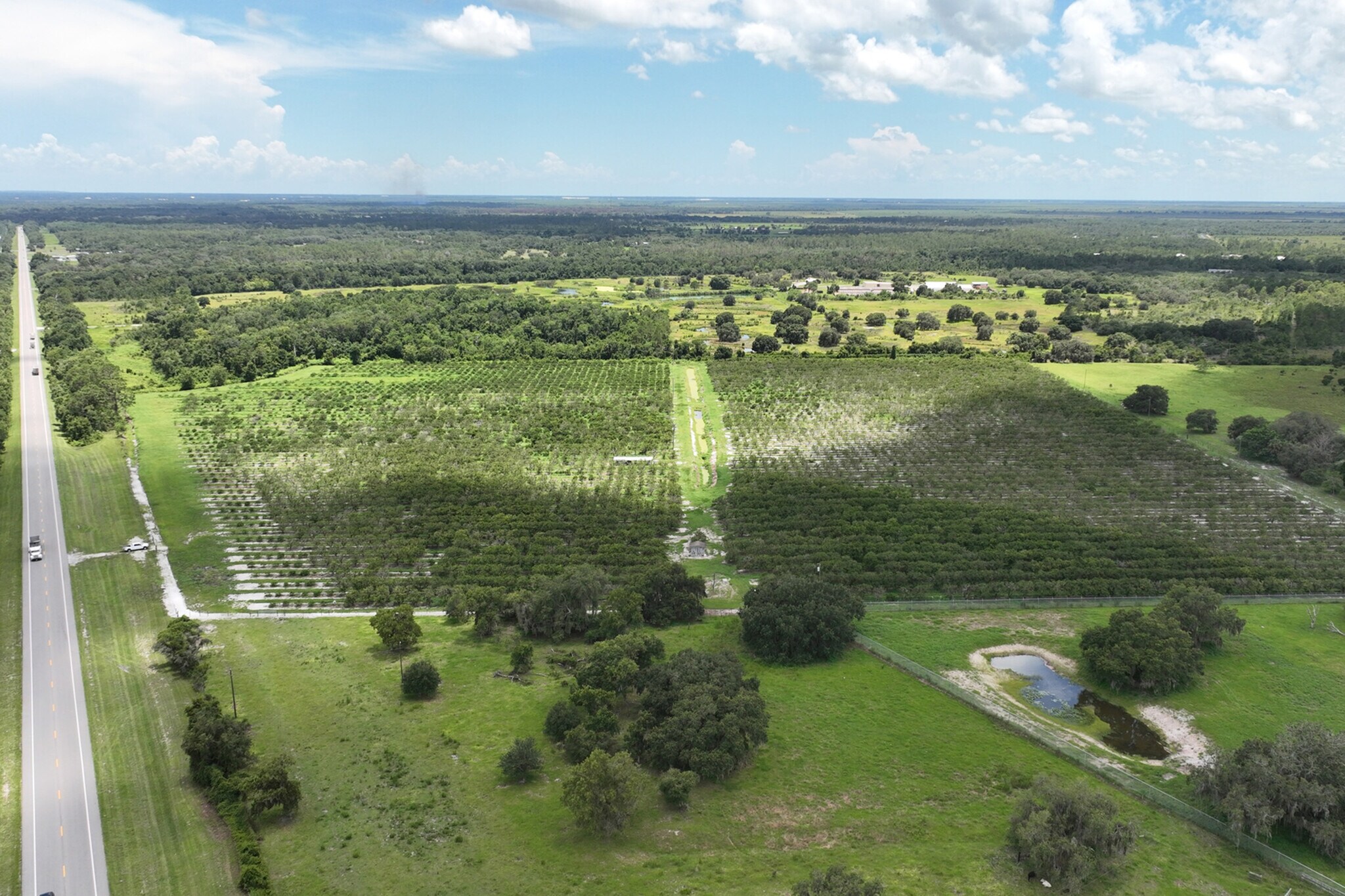 33933 HWY 441 N, Okeechobee, FL 34972 Fort Drum Grove