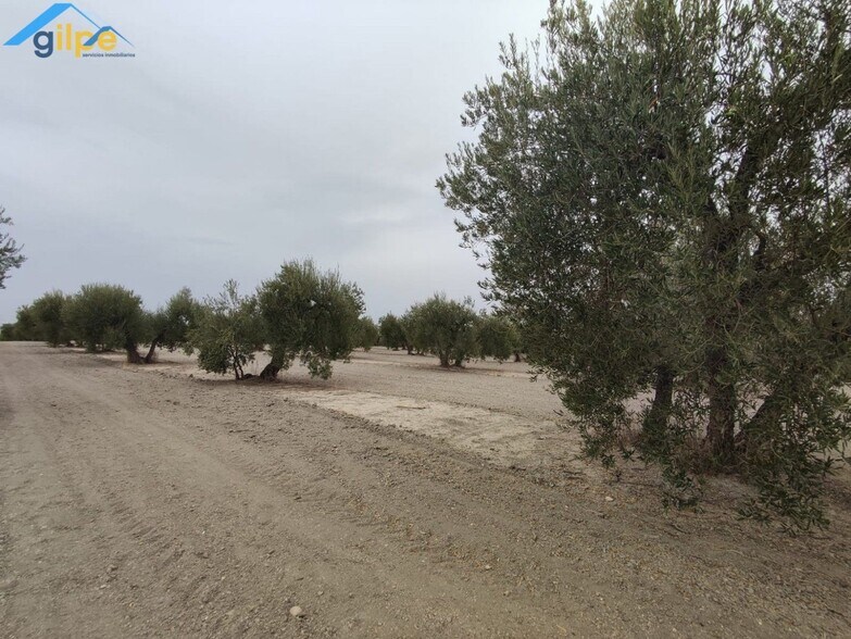 Land in Arahal for sale - Building Photo - Image 2 of 5
