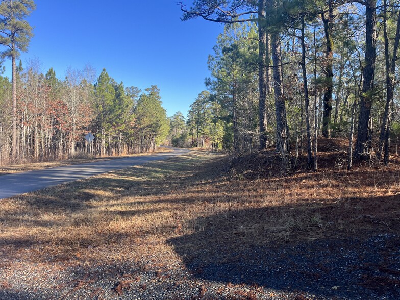 541 Pleasant Grove Church Rd, Mount Gilead, NC for sale - Primary Photo - Image 2 of 33