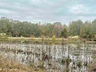 More details for 293 E Sidney Noble Ln, DeWitt, AR - Land for Sale