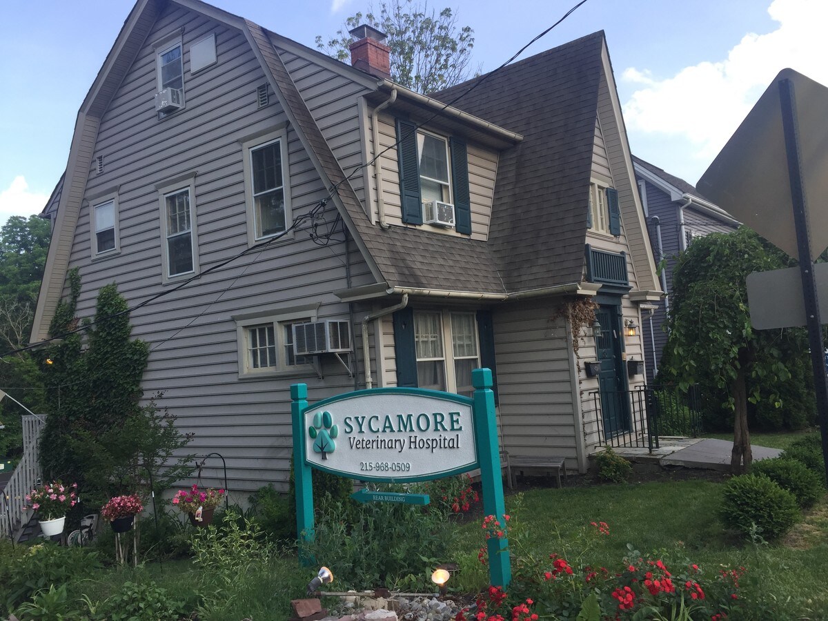 228 N Sycamore St, Newtown, PA 18940