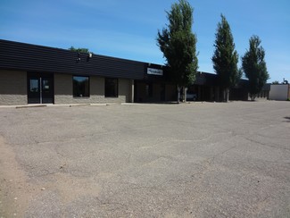 More details for 308 2nd Av, Bassano, AB - Retail for Sale