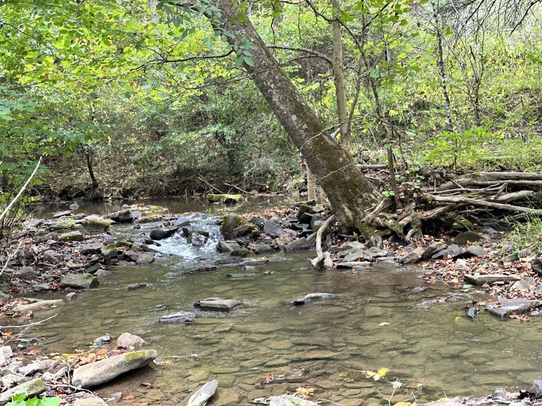 0 Turkey Creek Rd, Gap Mills, WV for sale - Building Photo - Image 3 of 18