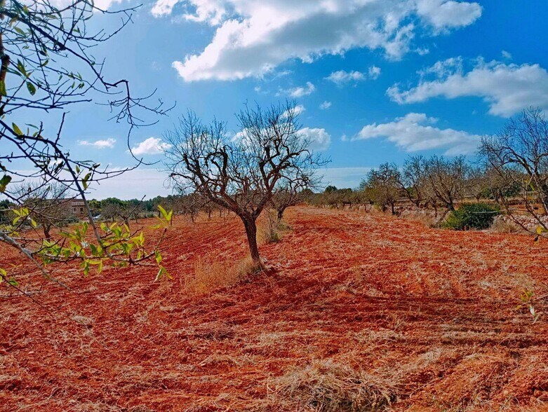 Land in Santanyí, Islas Baleares for sale - Aerial - Image 3 of 6