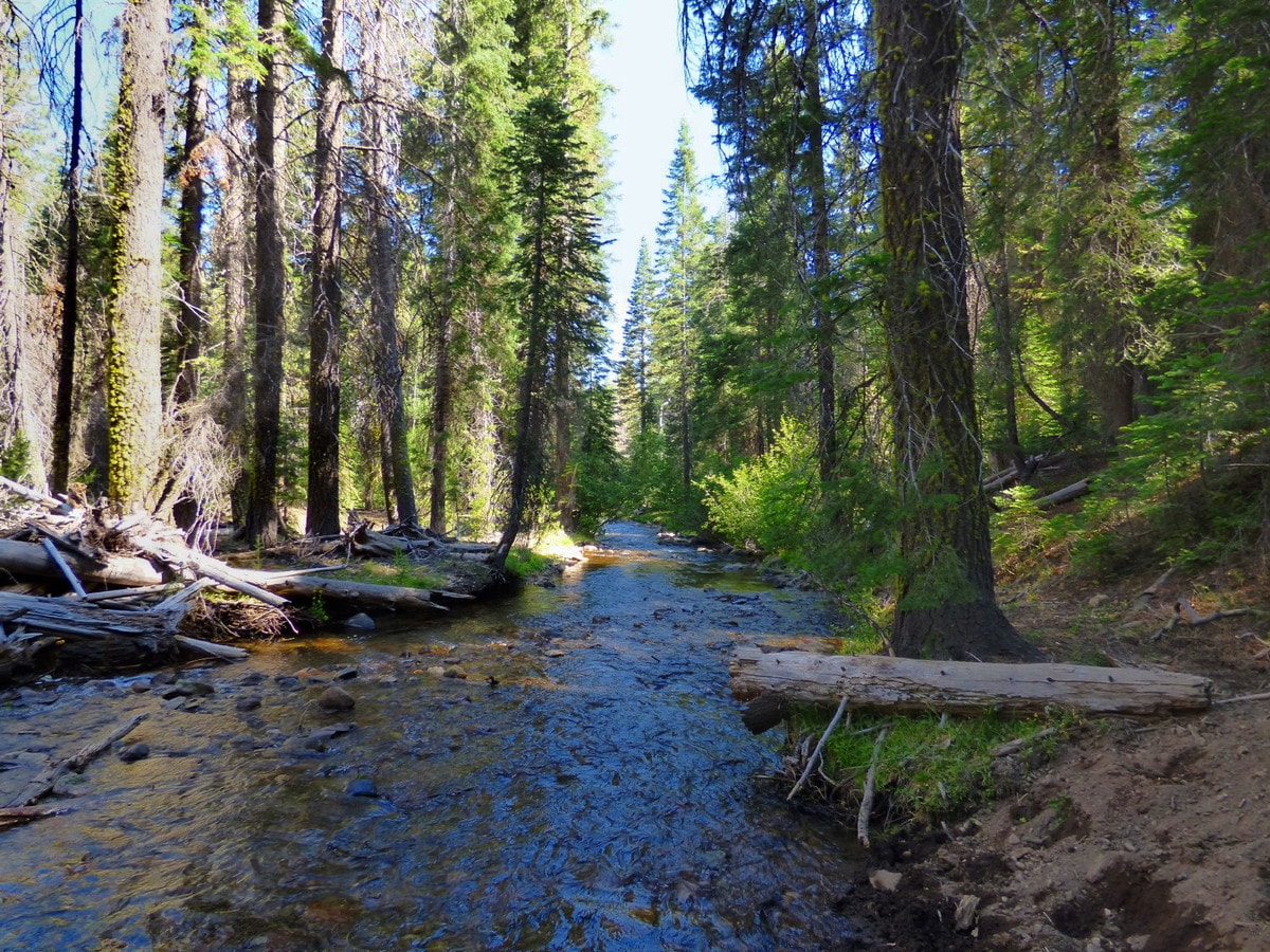 0 Haight Mountain Loop, Macdoel, CA 96058