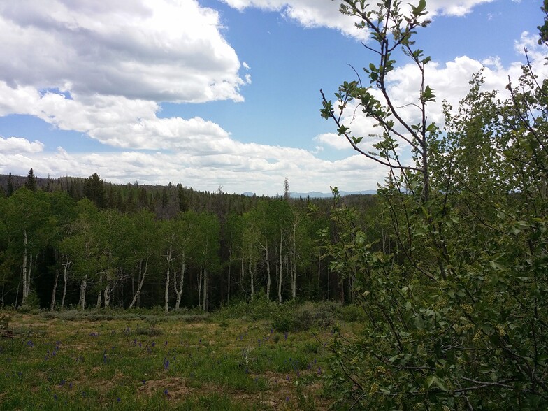 Jack Creek Road, Saratoga, WY for sale - Building Photo - Image 3 of 13