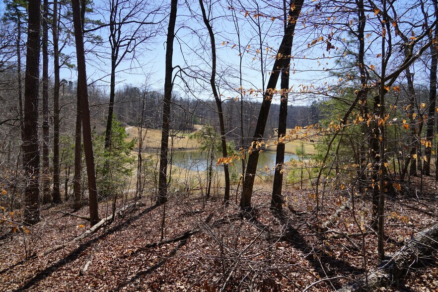 246 Landrum Rd, Dawsonville, GA 30534