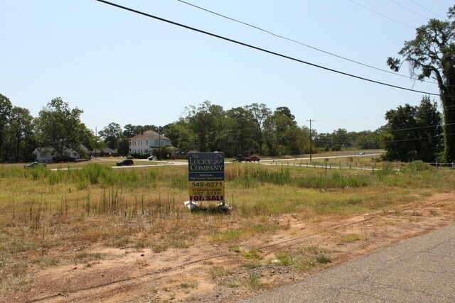 209 First St, Mansfield, LA for sale Primary Photo- Image 1 of 1