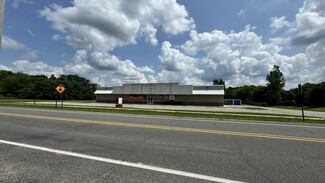 More details for 7415 Woodbury Rd, Laingsburg, MI - Retail for Lease