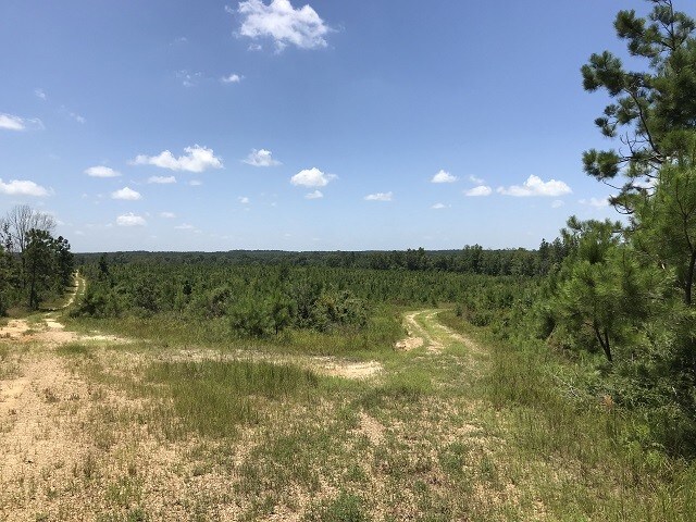 Buck Crk, Richton, MS for sale - Primary Photo - Image 1 of 1