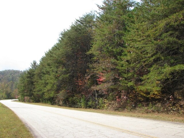 0 Torrington Rd, Dahlonega, GA for sale - Other - Image 2 of 2