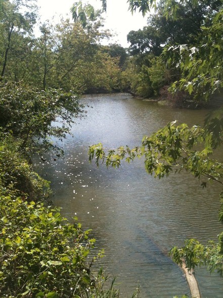 7200 Hwy 180, Palo Pinto, TX for sale - Building Photo - Image 1 of 1