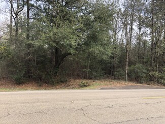 More details for Hwy 190 and Hwy 22, Mandeville, LA - Land for Lease