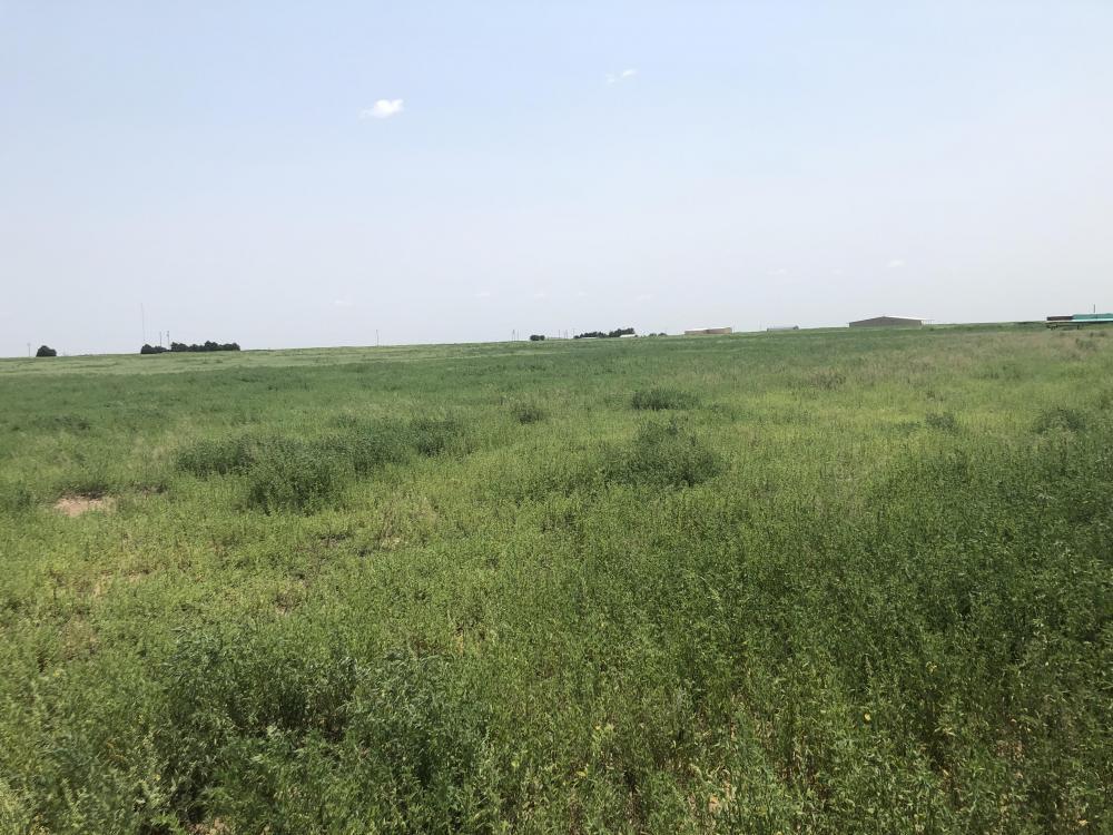 FM 998, Dalhart, TX for sale Building Photo- Image 1 of 1