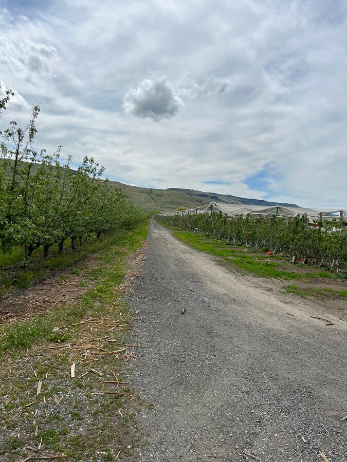 474 Jack Wells Road, Bridgeport, WA 98813