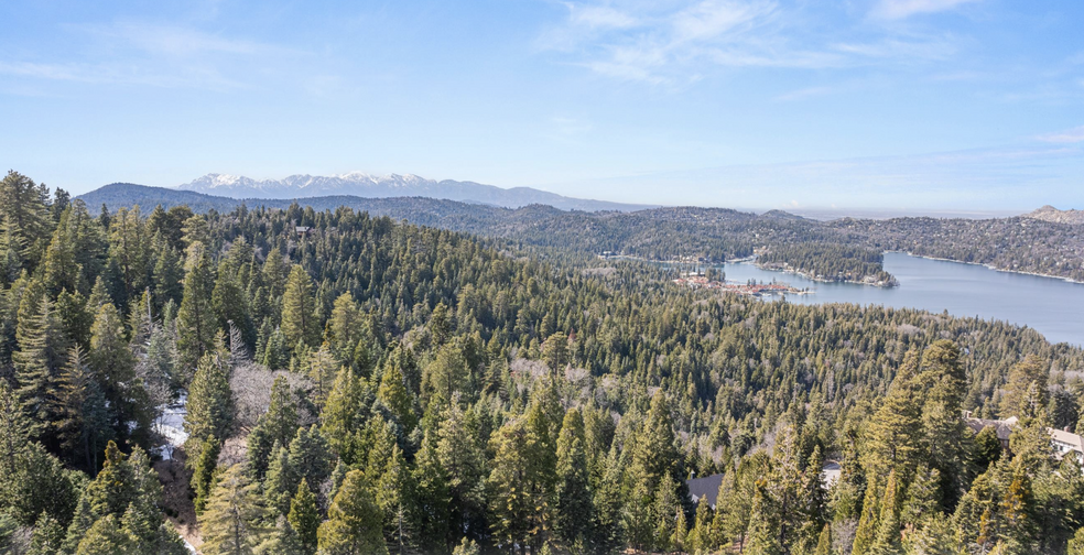 0 BLUERIDGE, Skyforest, CA for sale - Aerial - Image 3 of 6