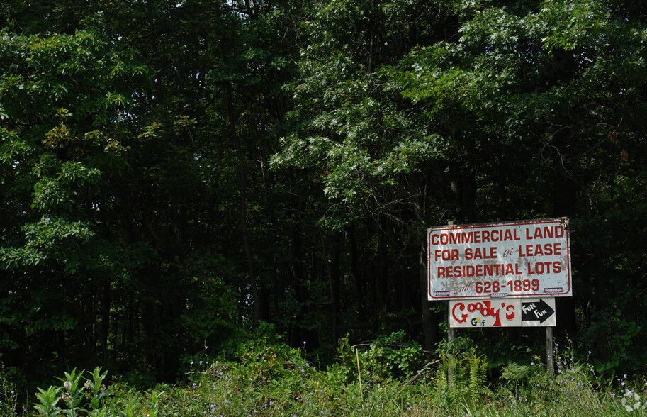 Morea Rd, Frackville, PA for sale - Primary Photo - Image 1 of 1