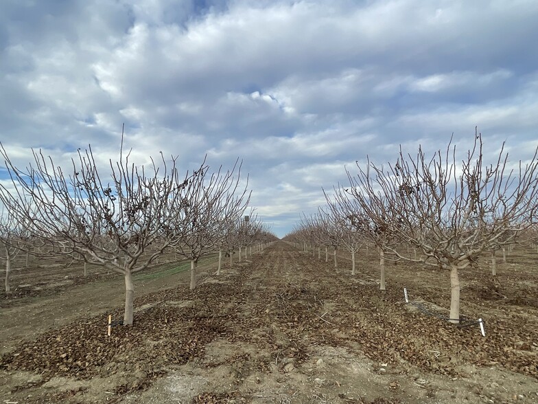 45900 Block Shields Ave, Firebaugh, CA for sale - Primary Photo - Image 2 of 9