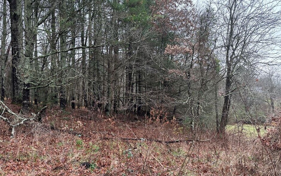 67 Shoe Factory, Blairsville, GA 30512 Shoe Factory Road