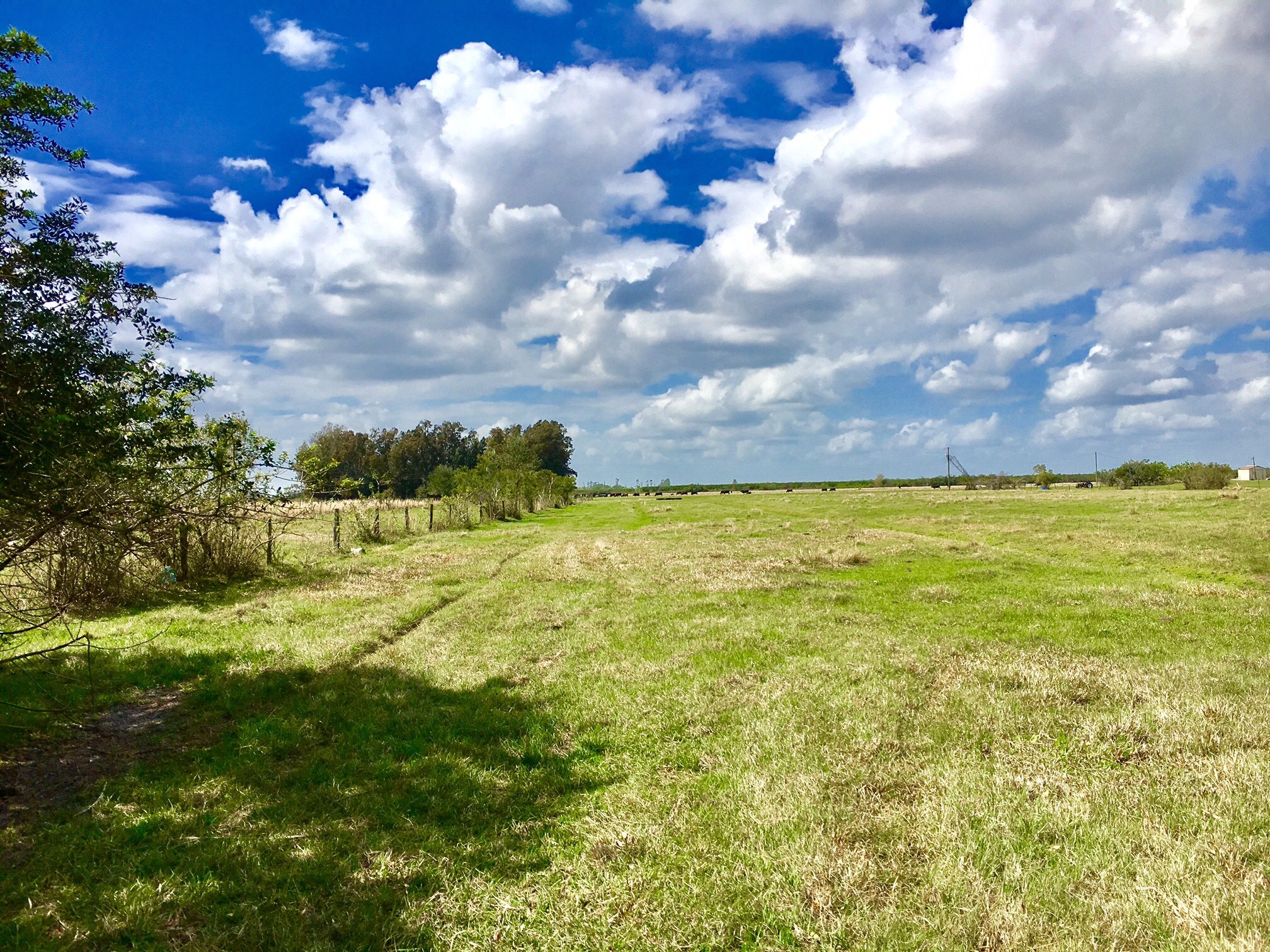 9751 SE Highway 31, Arcadia, FL for sale Other- Image 1 of 1