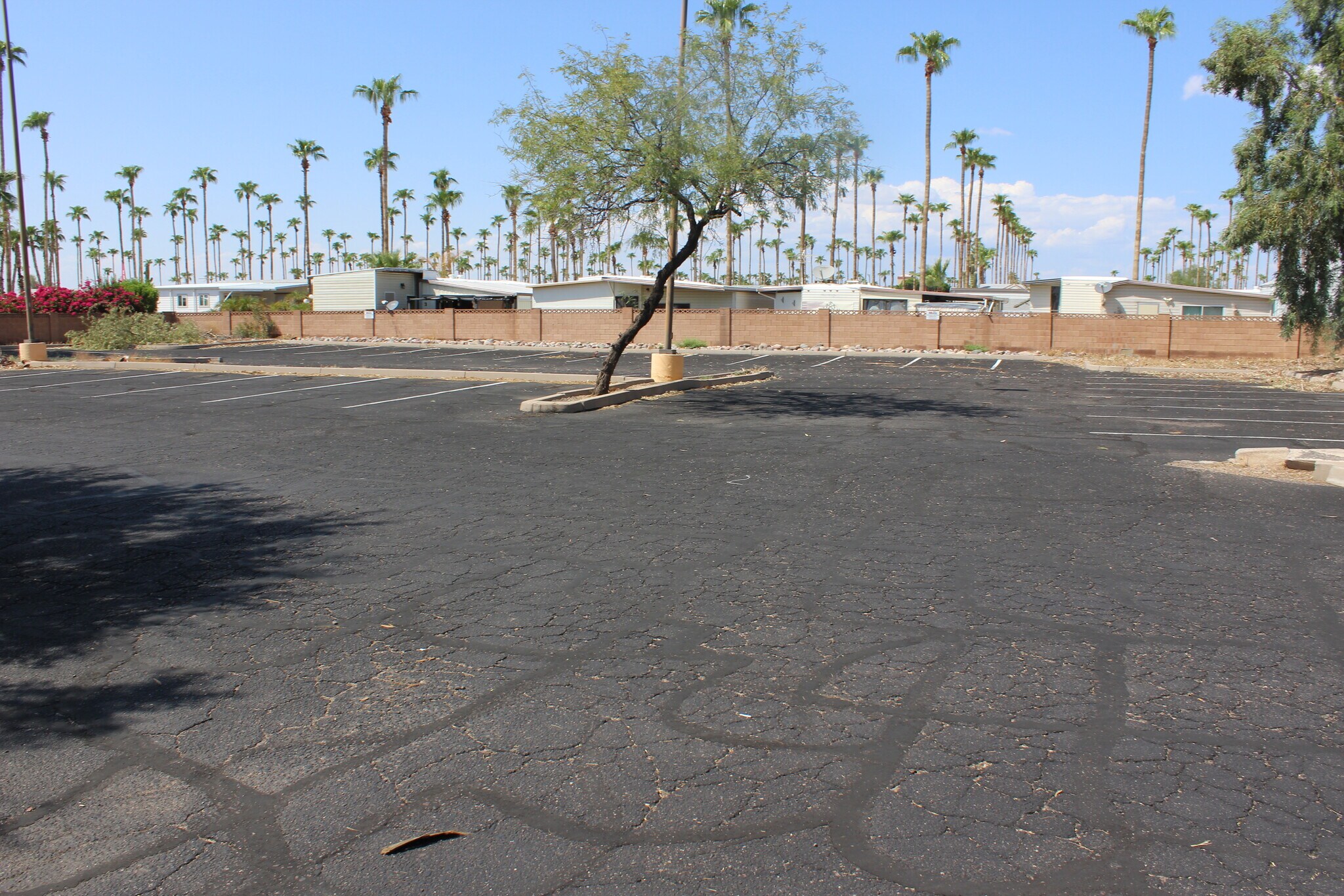 4906 E Main St, Mesa, AZ for sale Building Photo- Image 1 of 1