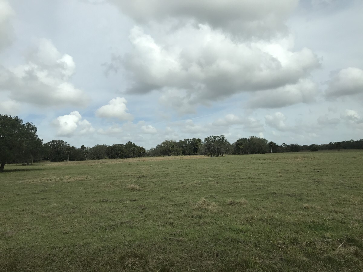 26005 Harrison Rd, Sidell, FL 34266