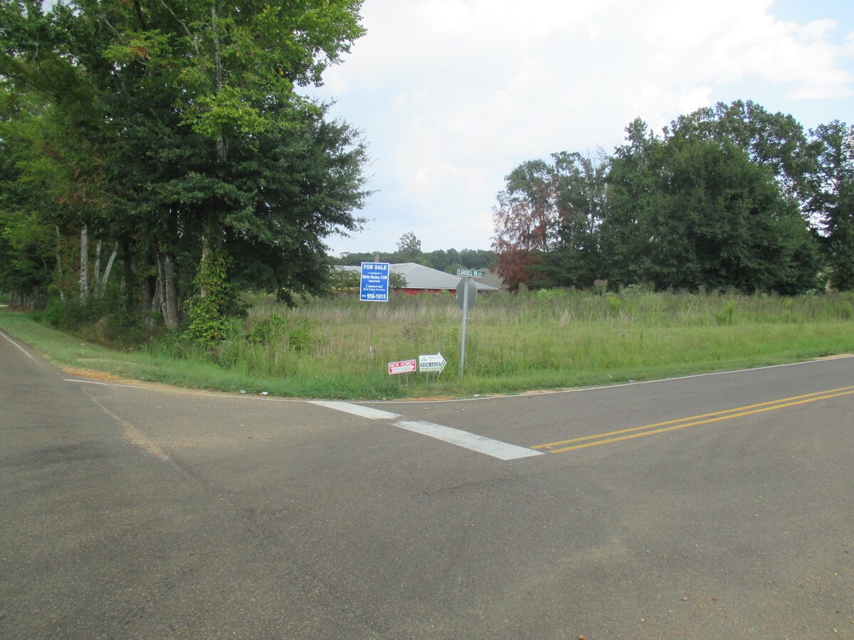 Yandell Rd, Gluckstadt, MS 39110