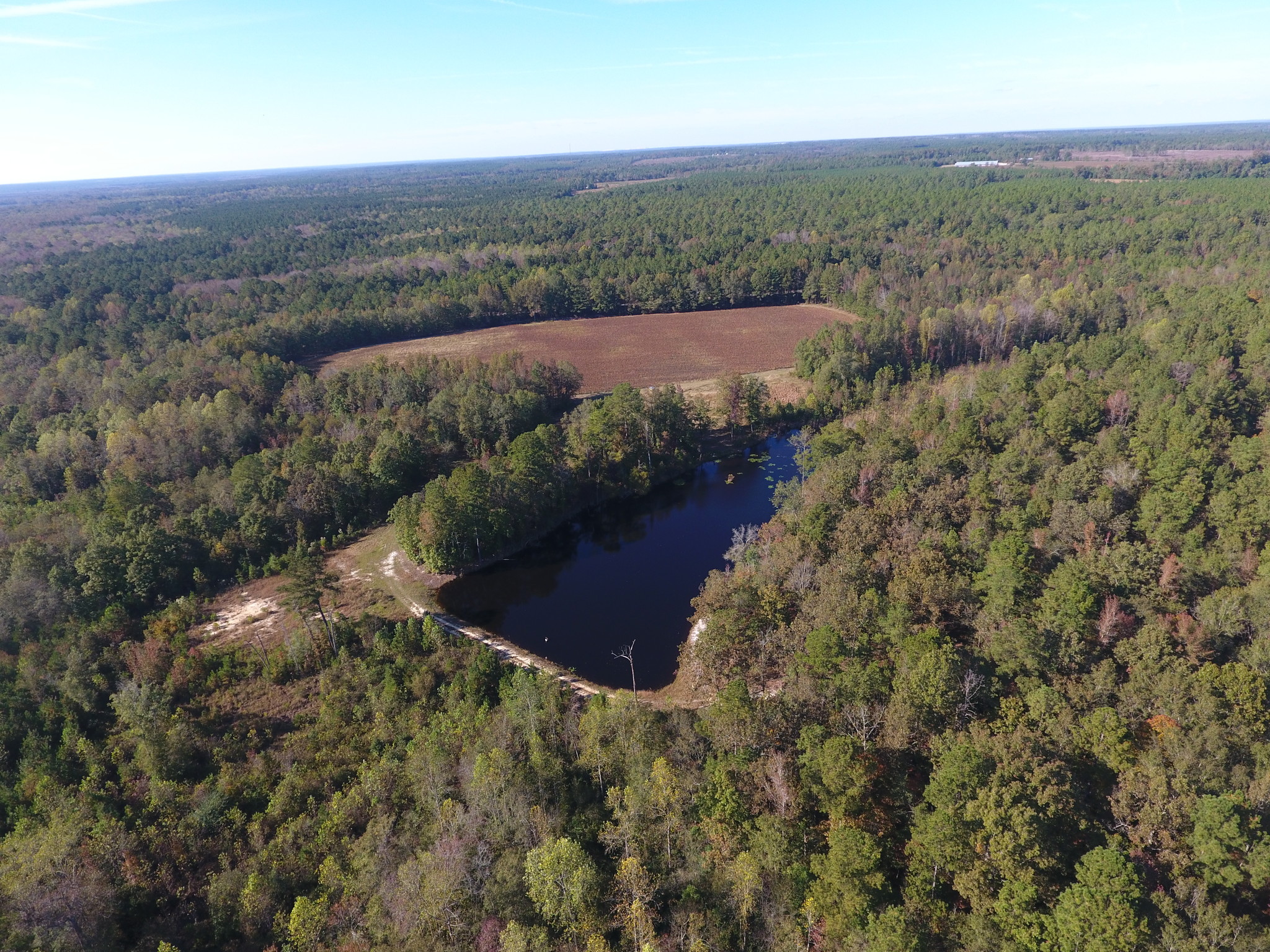 Jefferson Davis Hwy, Bethune, SC for sale Primary Photo- Image 1 of 1