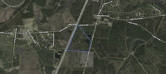 More details for 156 AC US 17 Hwy, Townsend, GA - Land for Sale