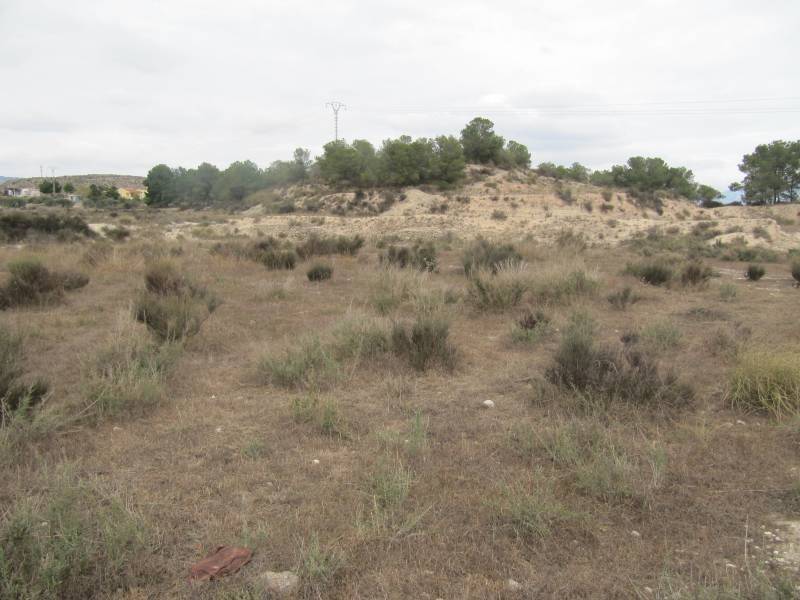 Land in Novelda for sale Building Photo- Image 1 of 7