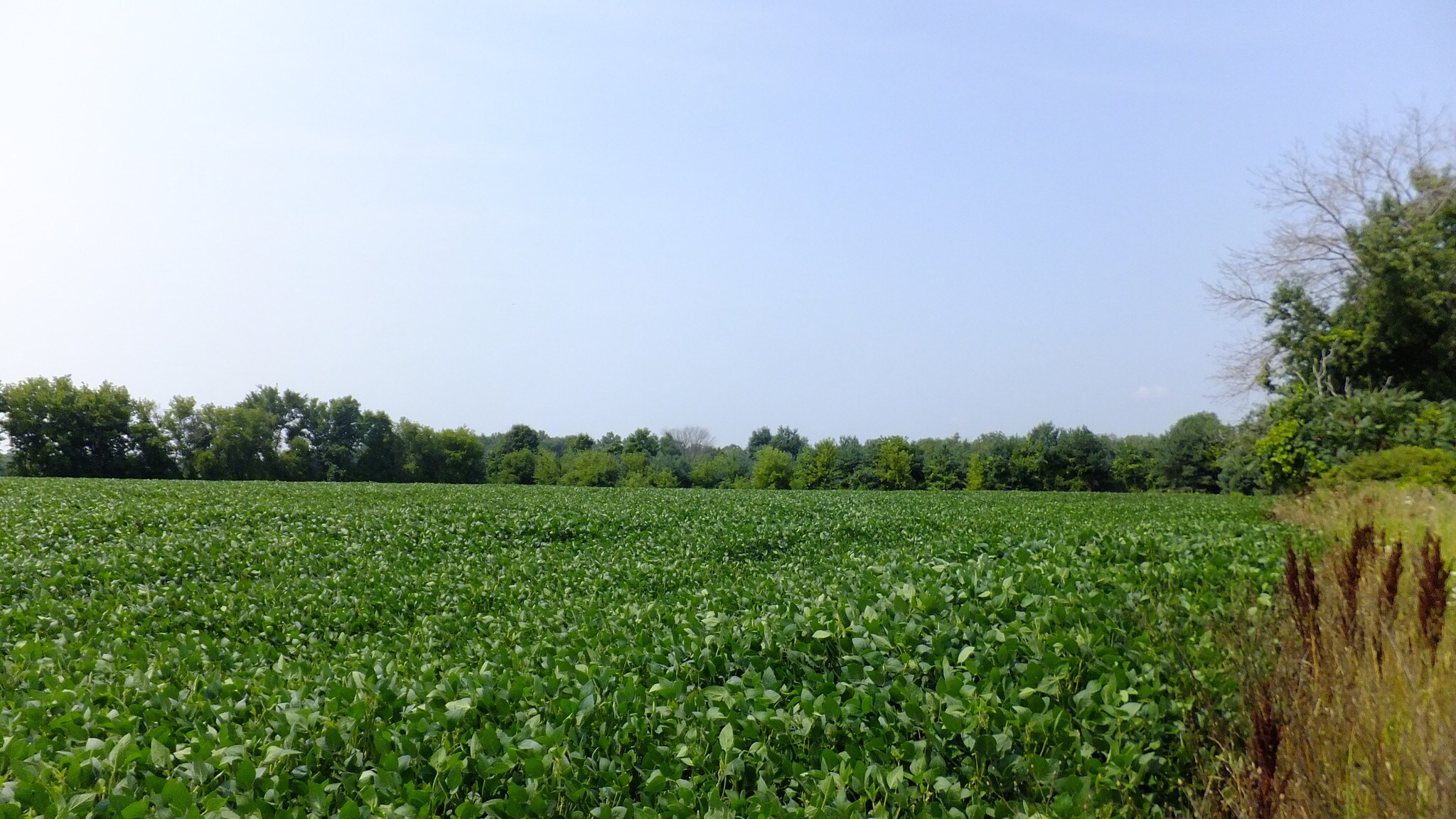 300 Linn Rd, Williamston, MI for sale Primary Photo- Image 1 of 1