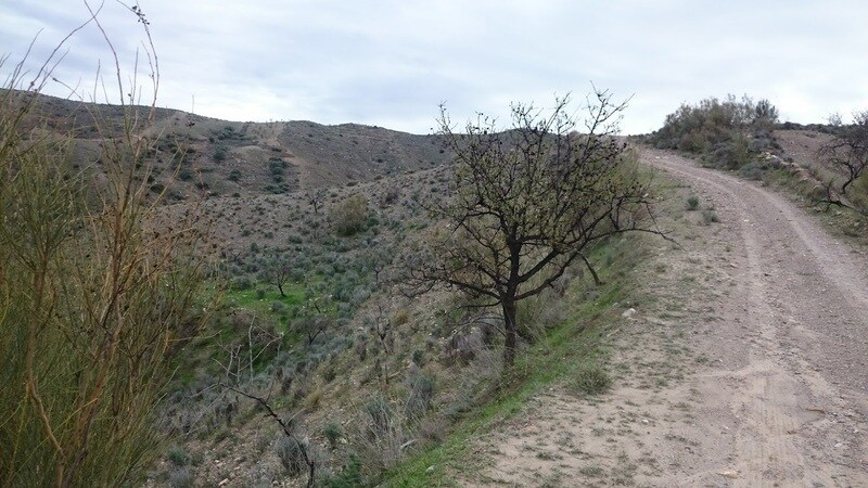 Land in Cantoria for sale - Building Photo - Image 3 of 3