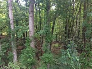 4145 C Rogers Rd, Gainesville, GA for sale Primary Photo- Image 1 of 1