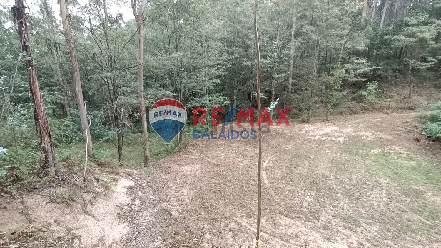 Land in O Porriño, Pontevedra for sale Building Photo- Image 1 of 10