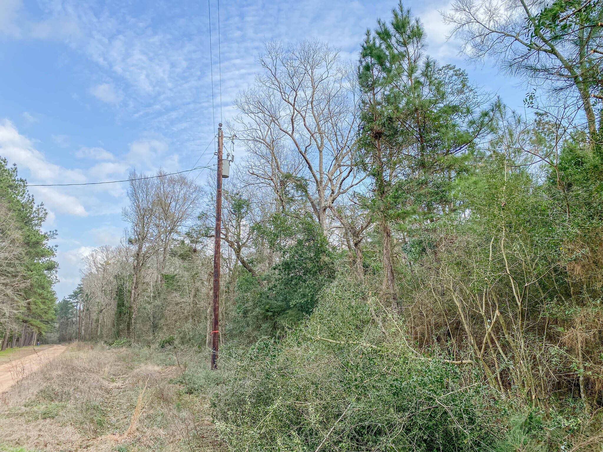 10 Acres Oak Ridge Rd, Willis, TX for sale Primary Photo- Image 1 of 1