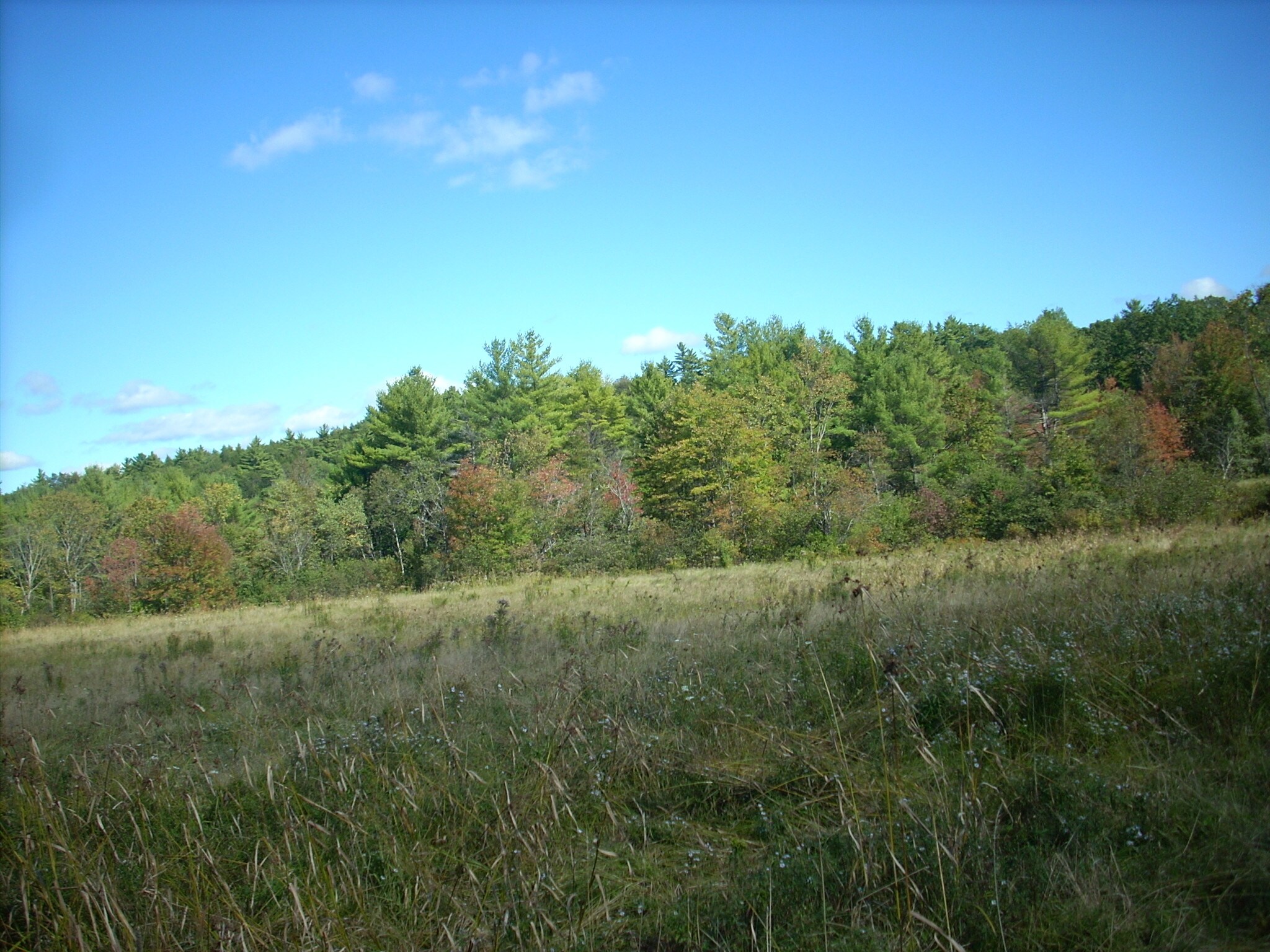 223 W Gray Rd, Gray, ME for sale Other- Image 1 of 1