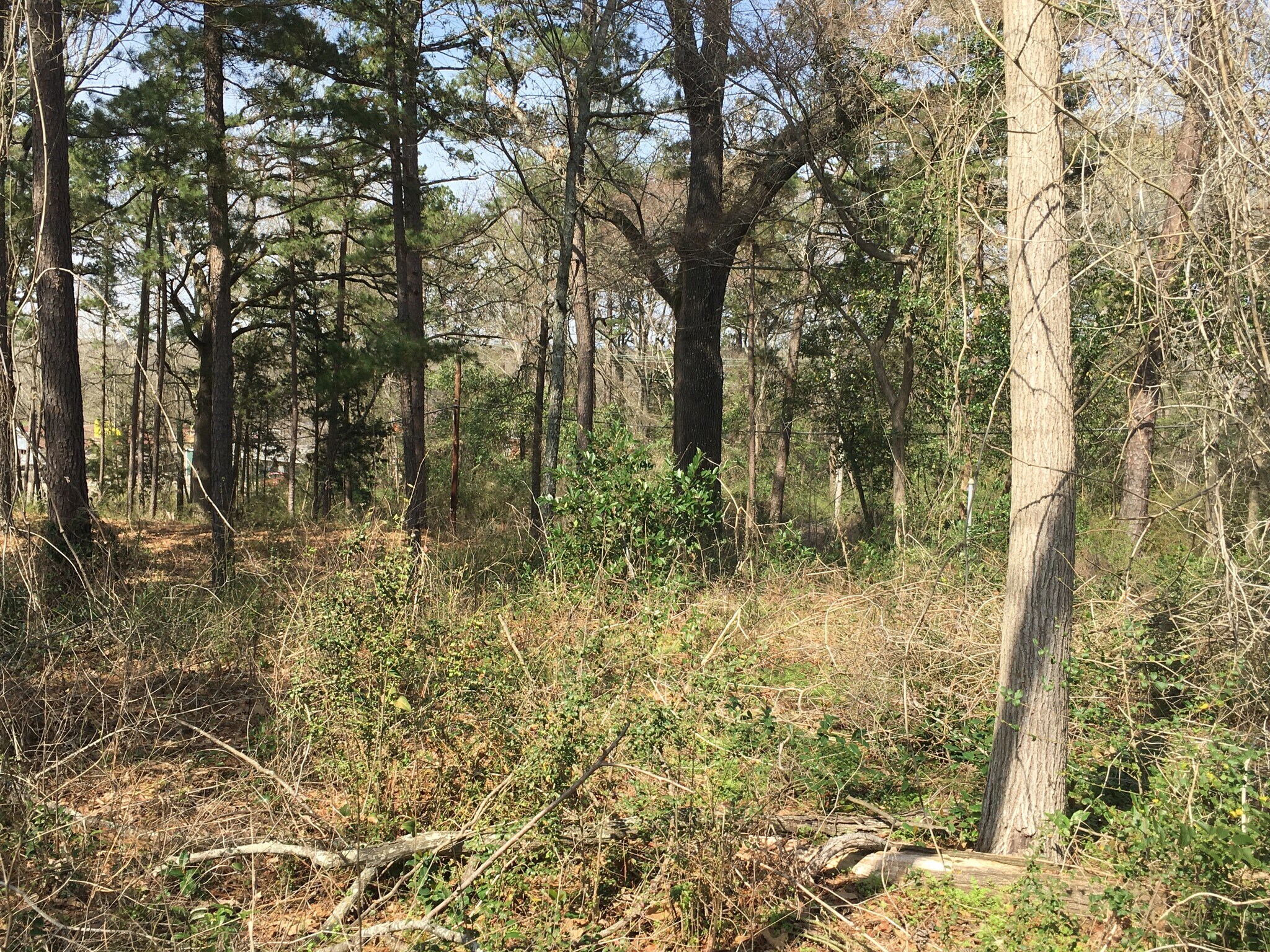 806 S Commerce St, Overton, TX 75684 Land for Sale