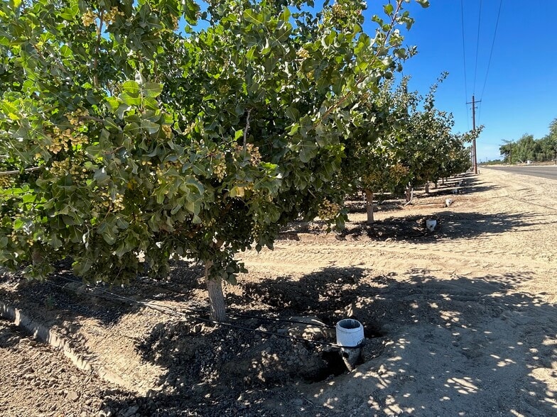 10431 S Bethel Ave, Selma, CA for sale - Building Photo - Image 2 of 27