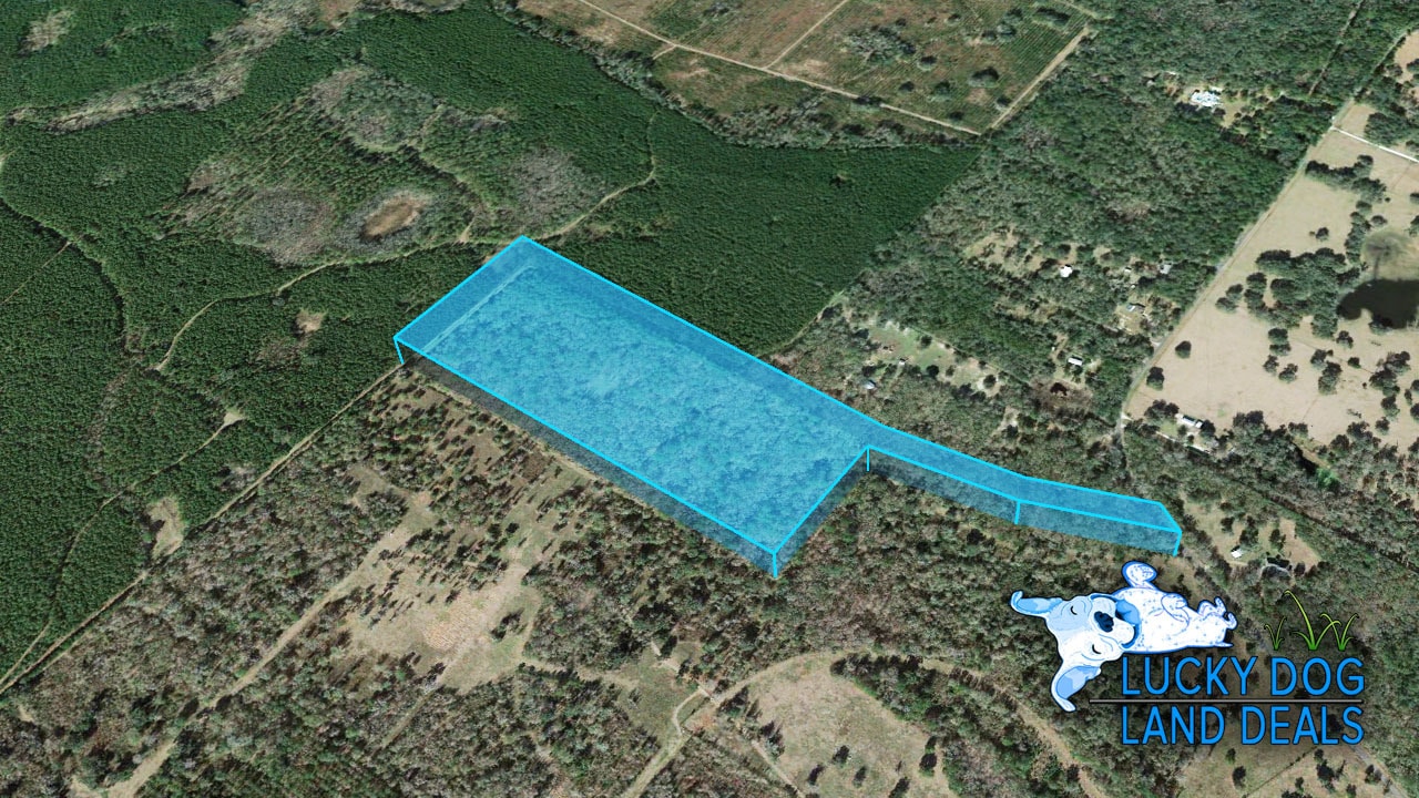 NW 198th St, Micanopy, FL 32667 NW 198TH STREET RD REDDICK, FL