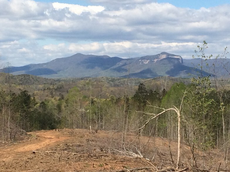 518 Pumpkintown Rd, Marietta, SC 29661