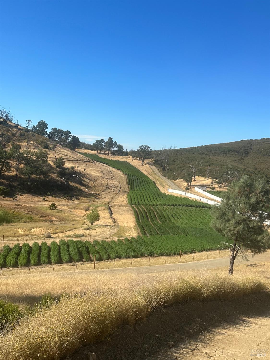 21506 Morgan Valley Rd, Lower Lake, CA for sale Primary Photo- Image 1 of 7