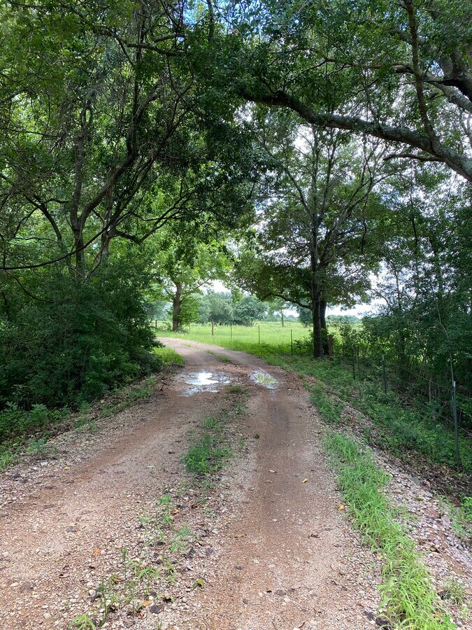 0000 FM 359, Pattison, TX 77466