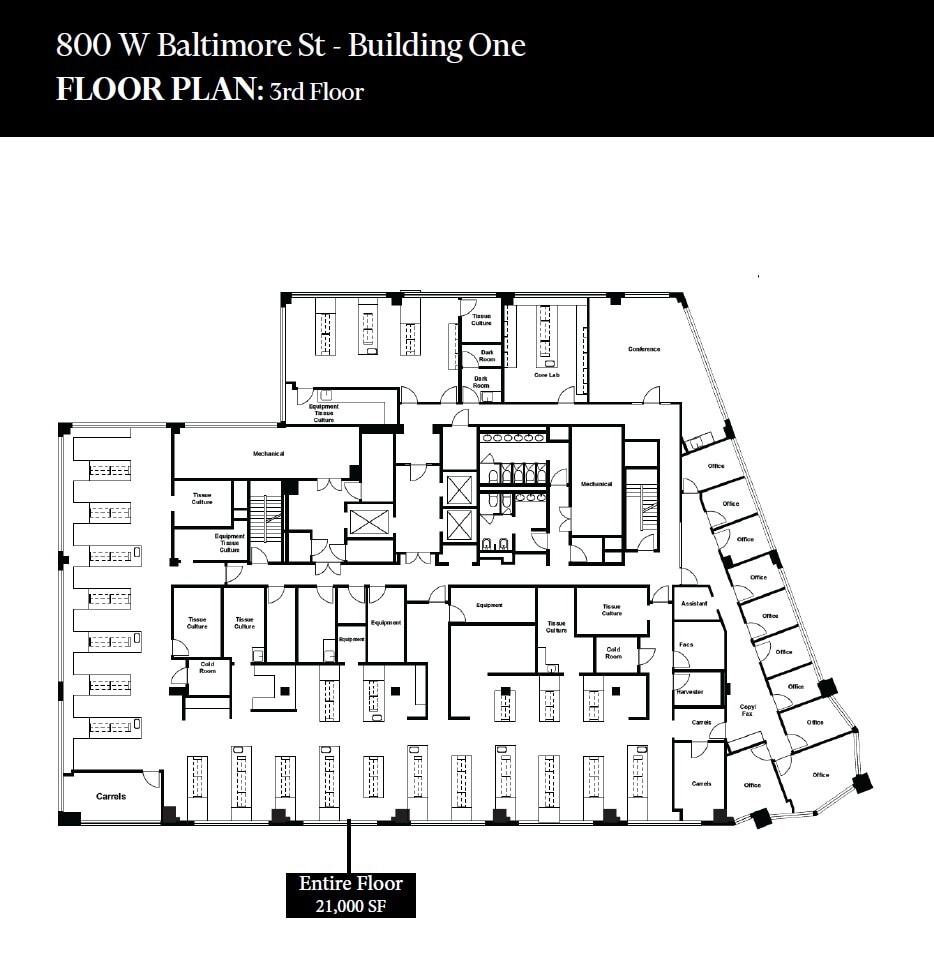 800 W Baltimore St, Baltimore, MD for lease Floor Plan- Image 1 of 1