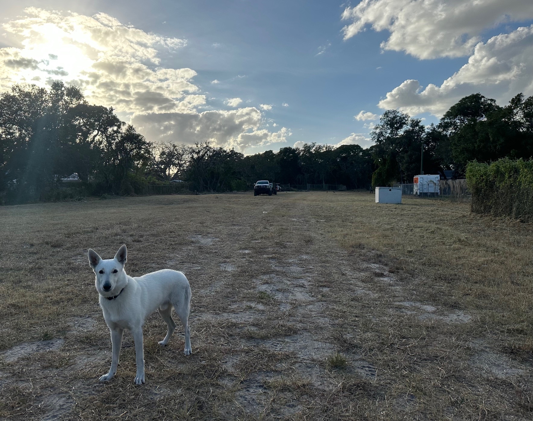 Cattlemen Rd, Sarasota, FL for lease Other- Image 1 of 2