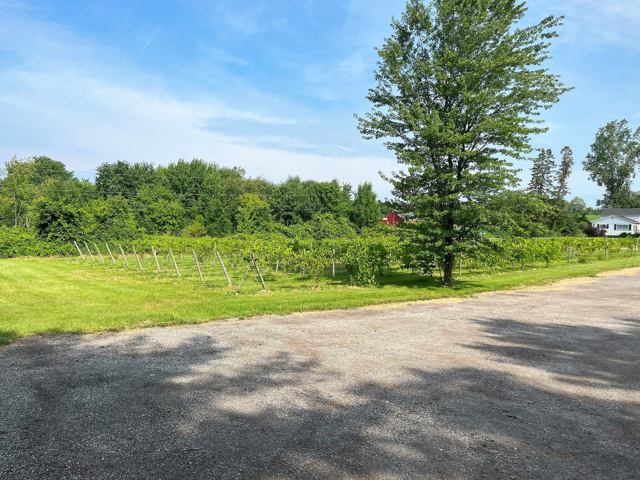 1261 E Munger Rd, Tecumseh, MI 49286 Winery, Vineyard, Brewery, FarmTecumseh